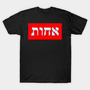 Hebrew Word for Sister T-Shirt